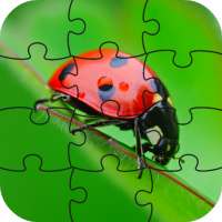 Ladybug Puzzle Game