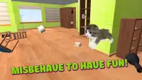 Home Kitten Simulator 3D Screen Shot 3