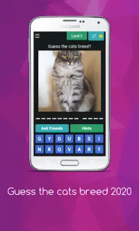 Cat Quiz - Guess The Cat Breed 2020 Screen Shot 4