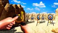 Archery Sling Shoot Master 3D Screen Shot 5