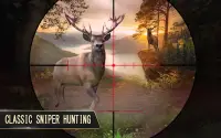 Deer Hunting : Sniper Hunter Screen Shot 2