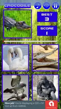 Guest What Animal Screen Shot 4