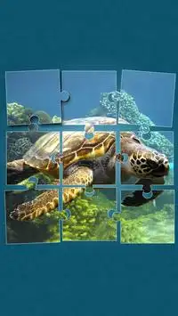 Under the Sea Jigsaw Puzzles Screen Shot 10