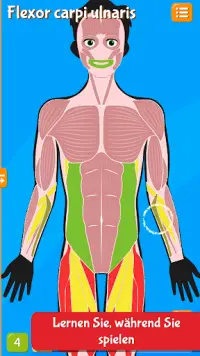 Anatomix - Menschliche Anatomie Screen Shot 1