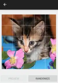 Kitten Sounds and Puzzles Free Screen Shot 5
