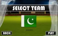 Play Cricket Worldcup 2016 Screen Shot 1