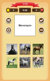 Paarden - Quiz Screen Shot 10