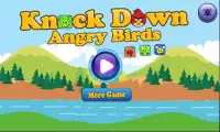 Knock Down Angry Bird Screen Shot 0