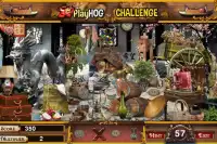 Challenge #136 Land of the Dragon Hidden Objects Screen Shot 2