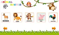Animal Sounds - Animals for Kids, Learn Animals Screen Shot 19