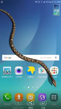Snake in Hand Joke - iSnake Screen Shot 2