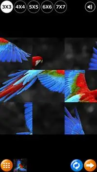 Tile Puzzle: Birds Screen Shot 1