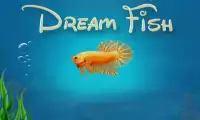 Dream Fish Seasons Screen Shot 0