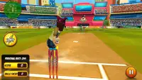 Bat Attack Cricket Multiplayer Screen Shot 4