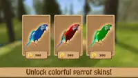 Birdy Pet - Parrot Life Simulator Screen Shot 1