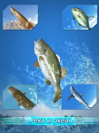 Fishing Season :River To Ocean Screen Shot 9