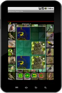 True Birds Memory Game Free Screen Shot 1