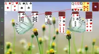 250 Solitaire Collection Screen Shot 3