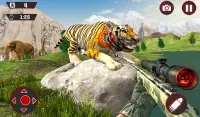 Angry Tiger Hunter : Crazy Mountain shooter Screen Shot 6