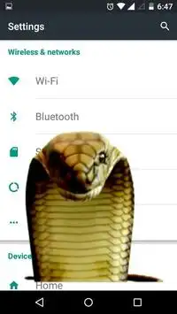 Snake in Phone Screen Shot 2