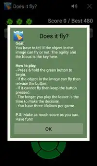 Does it fly? Screen Shot 1