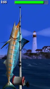 Big Sport Fishing 3D Lite Screen Shot 9