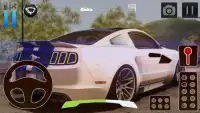 Car Driving Simulator Ford Screen Shot 0