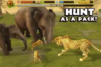 Cheetah Simulator Screen Shot 1
