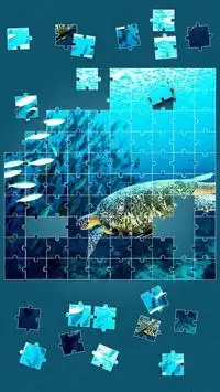 Sea Life Jigsaw Puzzles Screen Shot 6
