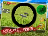 Safari Hunting: Animal Sniper Screen Shot 0