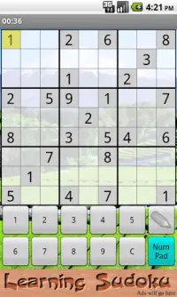 Learning Sudoku Screen Shot 2
