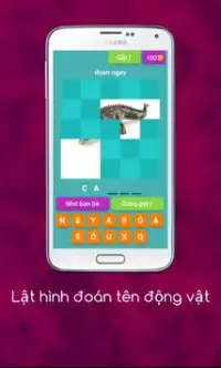 Lật hình đoán tên động vật Screen Shot 4