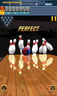 Real Bowling 3D World Champions Game Screen Shot 1