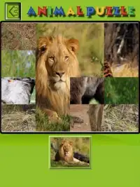 Kids Animal Puzzle Screen Shot 3