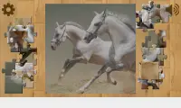 Paarden Puzzels Screen Shot 4
