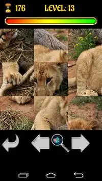 Big Cats Puzzles – Free Jigsaw Screen Shot 2