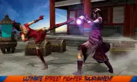 The King Fighters of Street Fighting Screen Shot 3