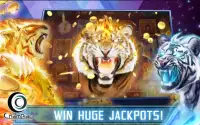 Fire Tiger Slots Screen Shot 12