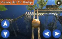 Rolling Ball Balancer 2020 Screen Shot 0