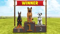 Hundetraining: Hundespiele 3D Screen Shot 4