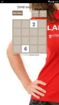 2048 Impossible Screen Shot 2