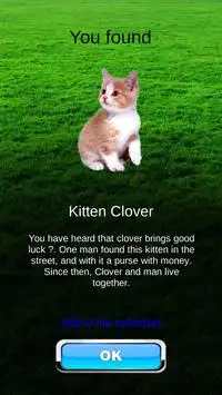 Pocket Kitten GO Screen Shot 3