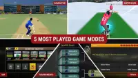 MSD: World Cricket Bash Screen Shot 0