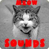 Звуки кошек - мяу, мурлык, шшш, рррр.... итд