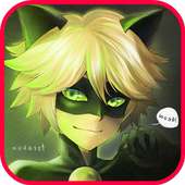 🐞 Ladybug Cat Noir Adventure