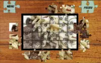 Jigsaw Puzzle Food World Screen Shot 1