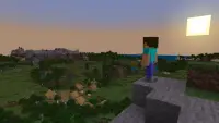 Minecraft-Demoversion Screen Shot 1