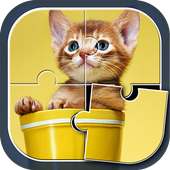 Kitty Jigsaw Puzzles Free