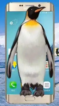 Penguin live on the screen(Prank) Screen Shot 0