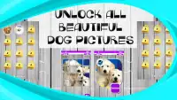 개와 강아지 퍼즐 Screen Shot 3